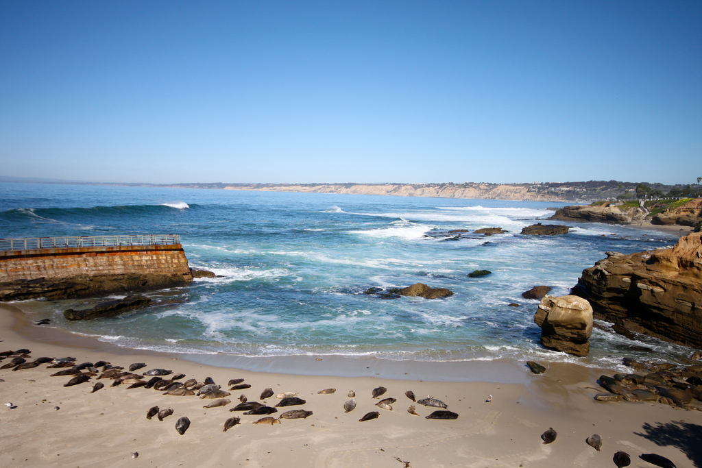 San Diego beach