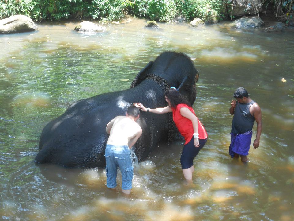 washing an elephant